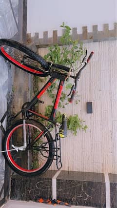 best bicycle phonenix urgent for sale