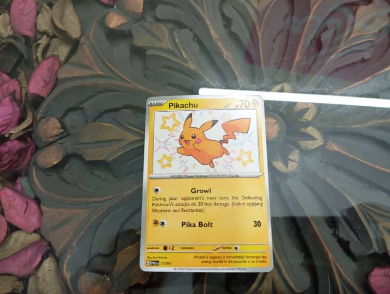 Pokémon cards 5