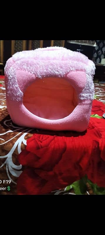 cat house new ha for urgent sale 3