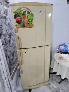 pel Fridge for Sale working condition