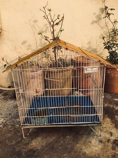 bird cage