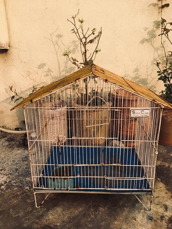 bird cage 1