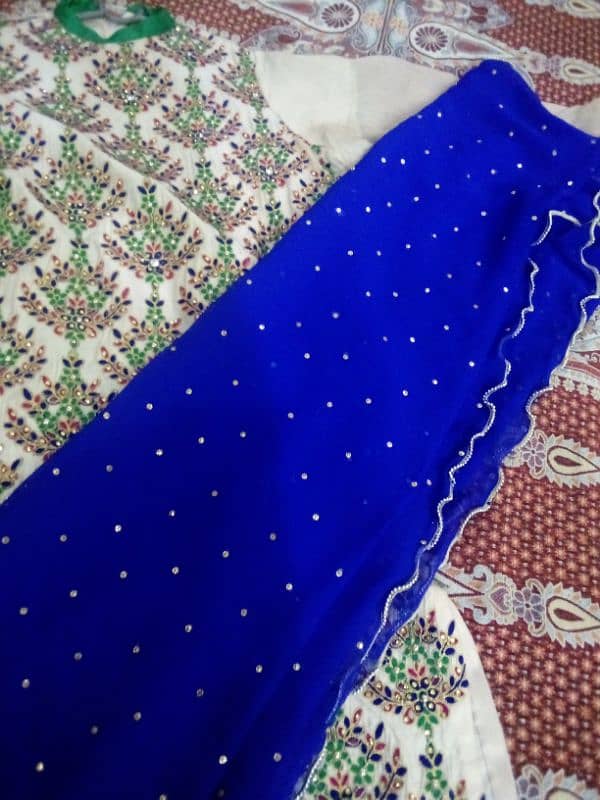 Indian style fancy Lehnga 1