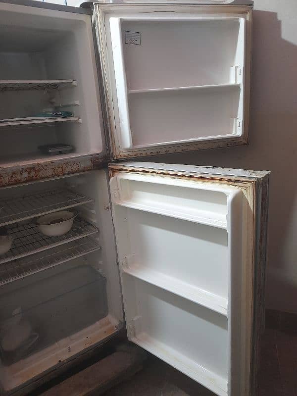 fridge* 3