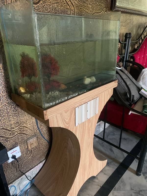 2ft Fish Aquarium 0