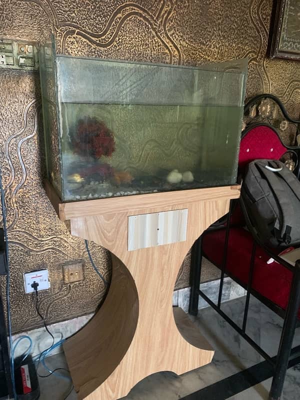 2ft Fish Aquarium 1