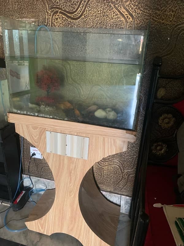 2ft Fish Aquarium 2