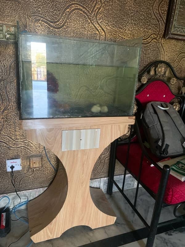 2ft Fish Aquarium 3