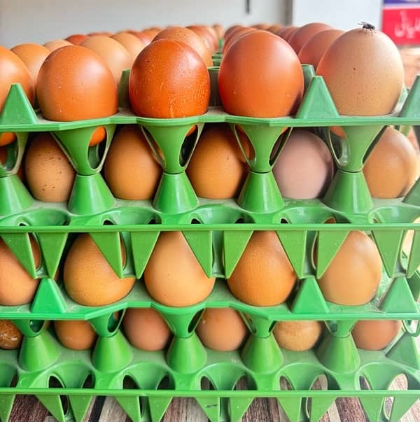 Eggs |  Fresh Organic Desi Eggs | whole sale rate |Anday 3