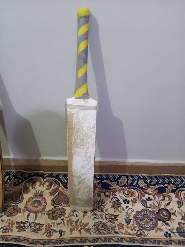 cricket tapeball bat 2