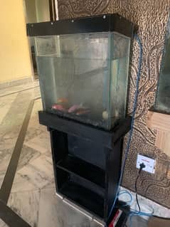 Fish Aquarium