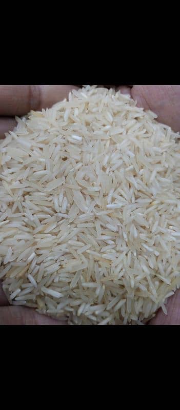 KAINAT 1121 Steam Rice in wholesale 2