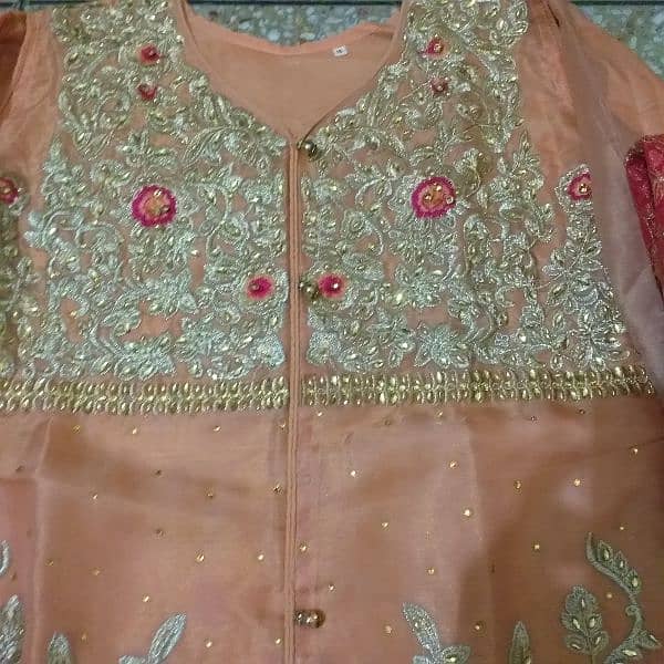 organza shirt with net ka trouser and net ka dupatta 2