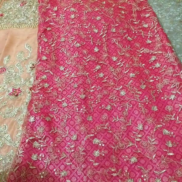 organza shirt with net ka trouser and net ka dupatta 3