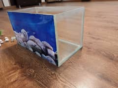 Fish Aquarium with pump