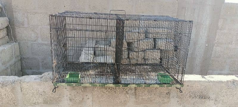 Bird's Cage 2