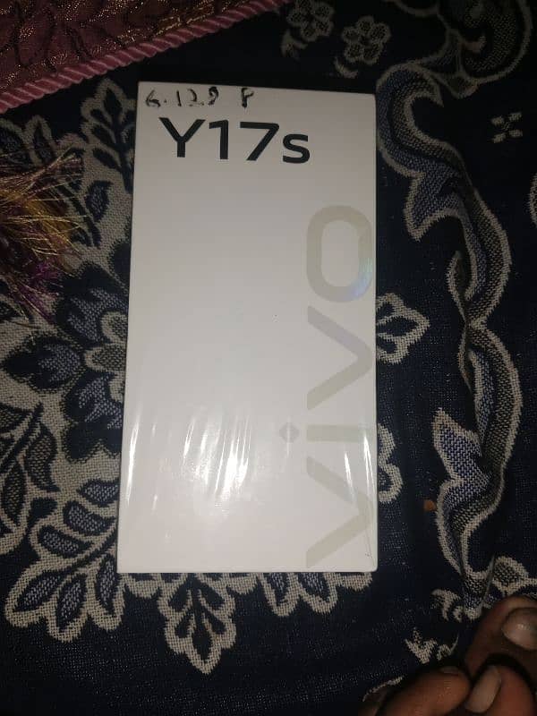 Vivo Y17S 1