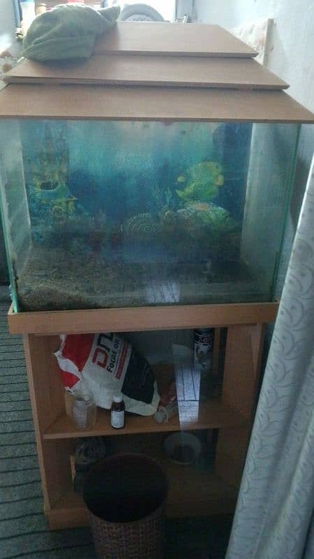 2.5ft Aquarium 2