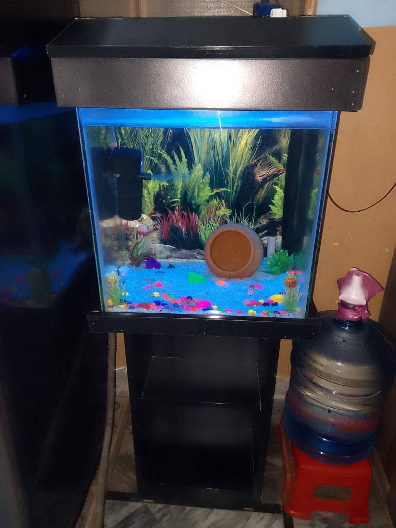 Fish Aquarium | Aquarium | fish tank |Fish Aquarium with wooden stand 7