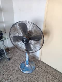 Deluxe Pedestal Fan