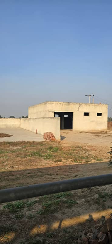 7 Acre Brand New Dairy Farm For Sale In Raiwind Lahore 2