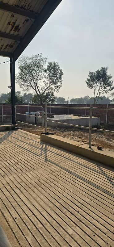 7 Acre Brand New Dairy Farm For Sale In Raiwind Lahore 3