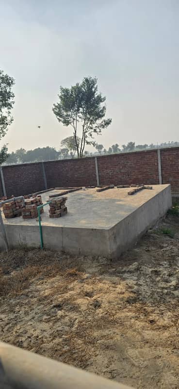 7 Acre Brand New Dairy Farm For Sale In Raiwind Lahore 7