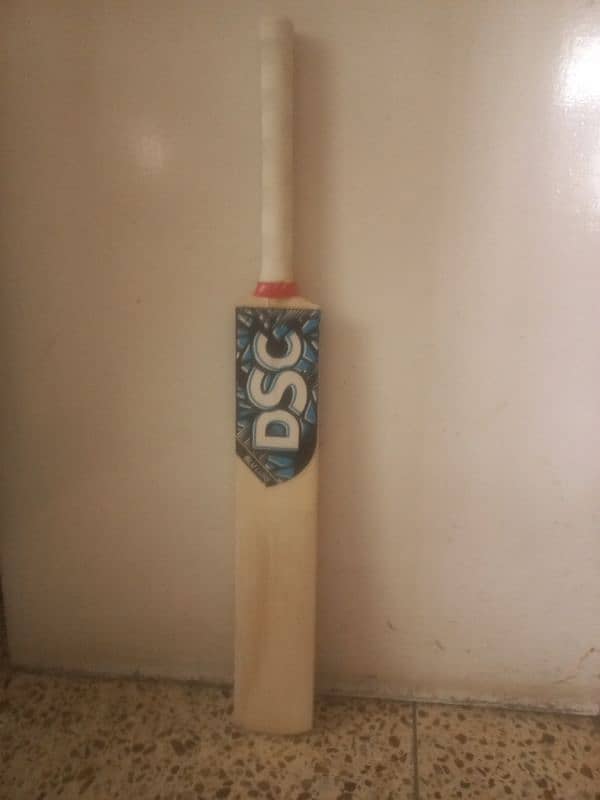 DSC hard ball bat ,new,Power hitting bat 2