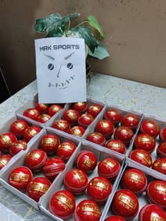 Cricket Hardballs