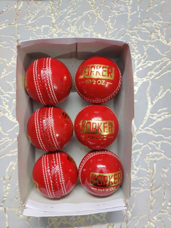 Cricket Hardballs 6