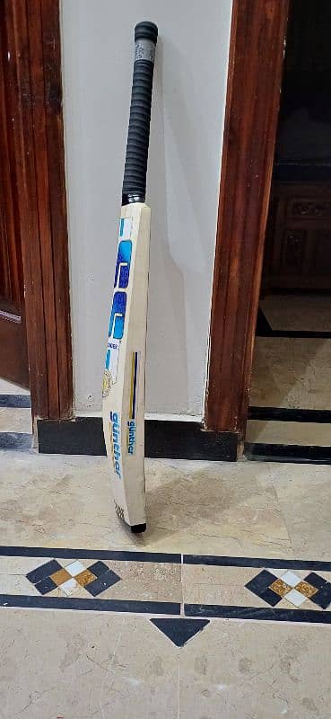 kashmir willow  hard ball bat 1