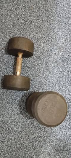 Apollo 12 kg dumbbell pairs (original)