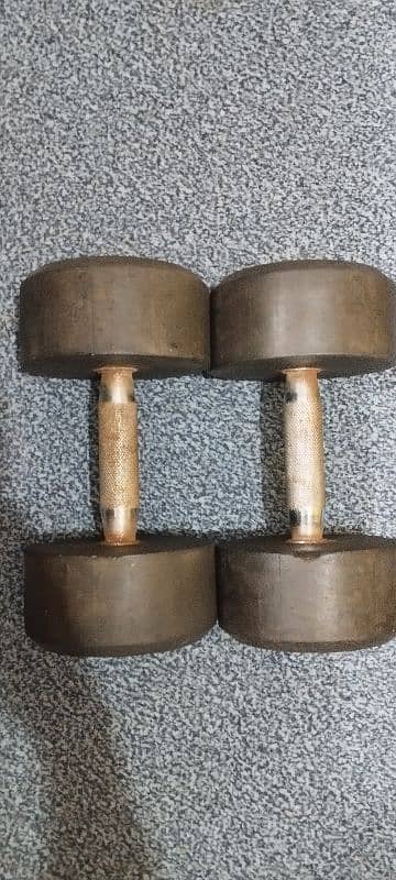 Apollo 12 kg dumbbell pairs (original) 2