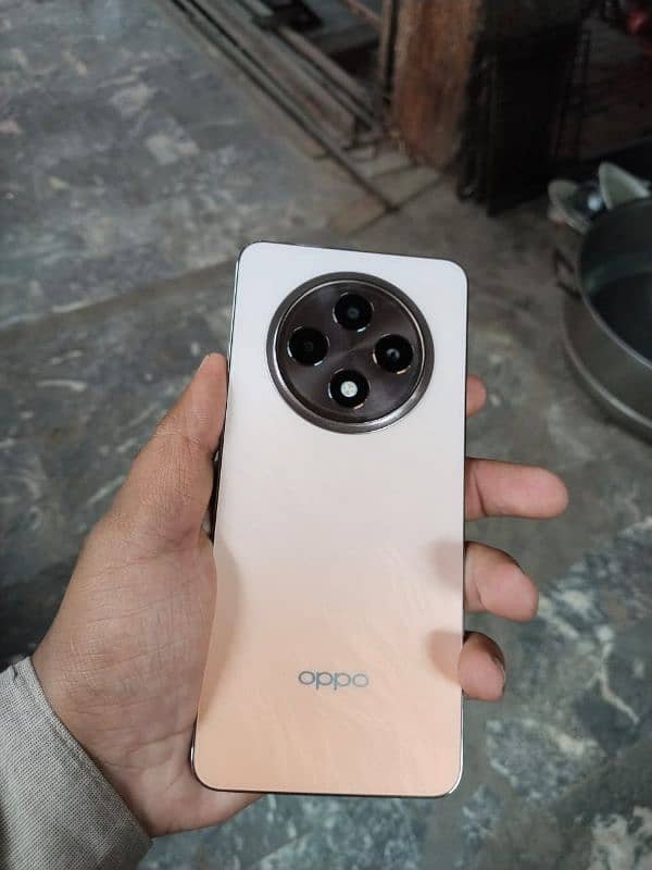 assalamualaikum am selling oppo Reno12f 5g 12.256 with box and charger 0