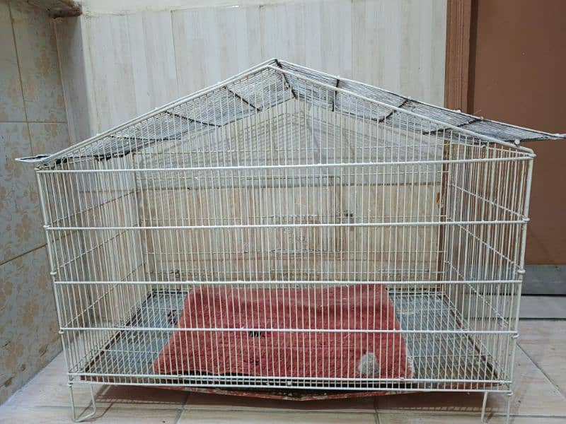 Cage For Sale 3