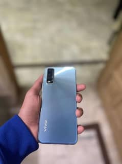 vivo