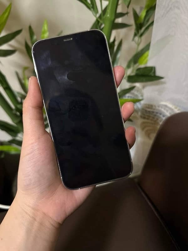 iPhone 12 pro PTA Approved 1