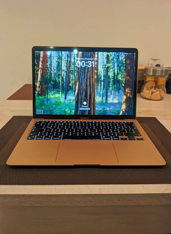 Neat and Clean MacBook Air M1 8/256 0