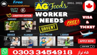 Company Visa, vacancies Available, Staff Required, Jobs In Canada