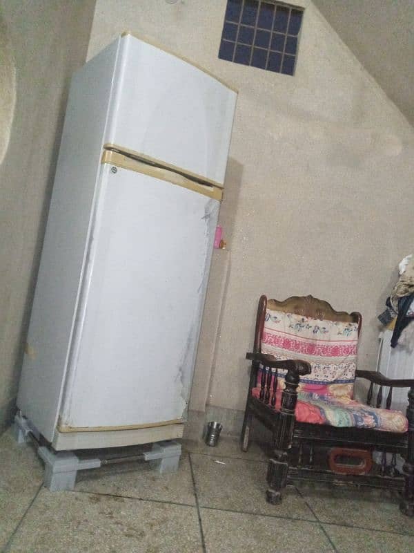 dowlance fridge 1