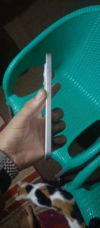 iphone 15 pro max white color 5