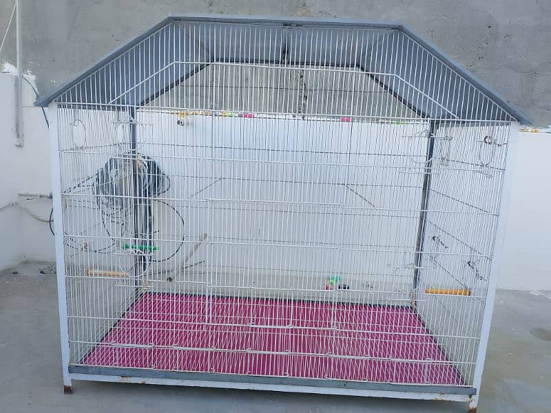 birds cage 1