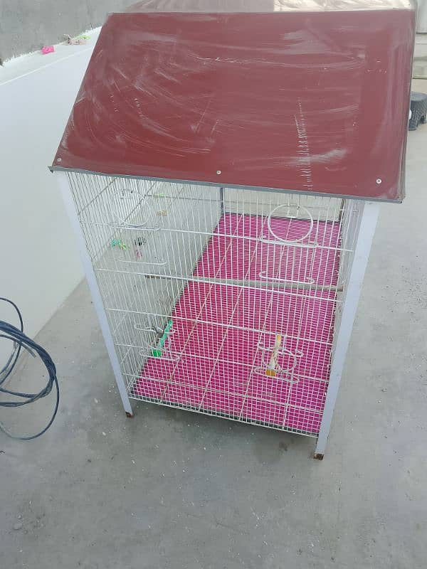 birds cage 2