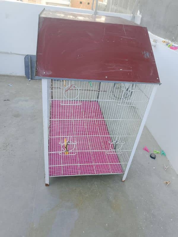 birds cage 3