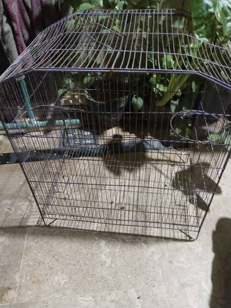 cage for birds 0