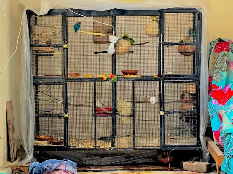 Birds cage 0