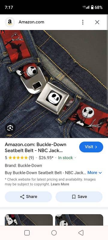 buckle Down Belt 1