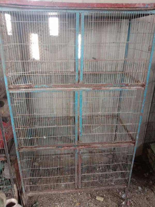 birds cage 1