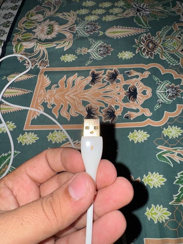 iPhone lightning cable 4