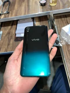 vivo